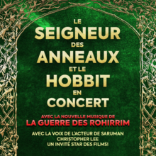 SEIGNEUR DES ANNEAUX